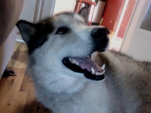 Photo on 2013-04-06 at 07.09 #2