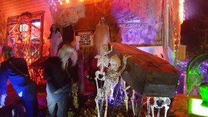 20151031_202352_resized