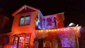 20151031_202412_resized